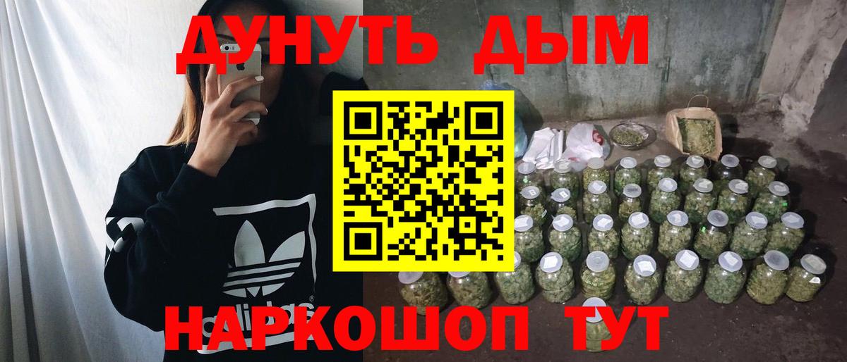 Канабис семена Новосибирск